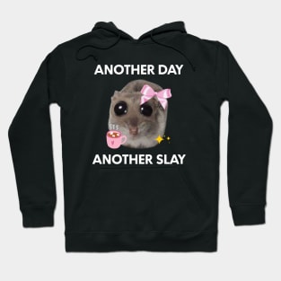 Another Day, Another Sl*y Sad Hamster Meme Hoodie